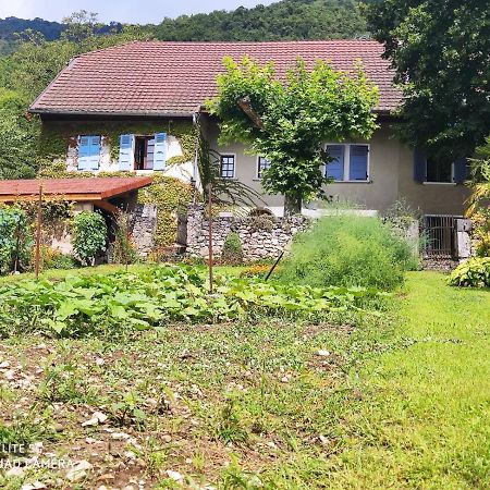 Du Vent Dans Les Arbres -120M2 Belle Vue Sur Le Lac Chindrieux Exterior foto