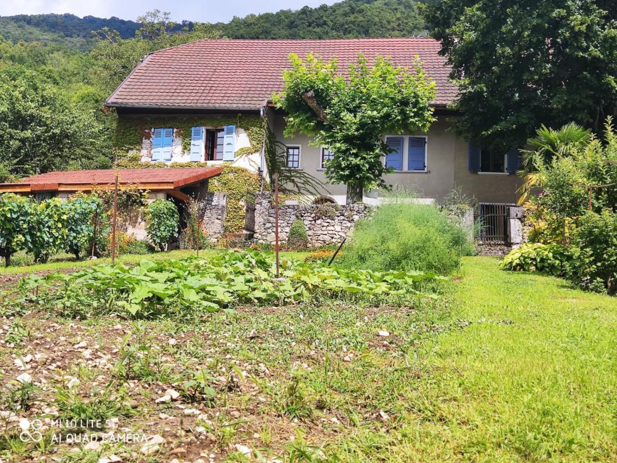 Du Vent Dans Les Arbres -120M2 Belle Vue Sur Le Lac Chindrieux Exterior foto